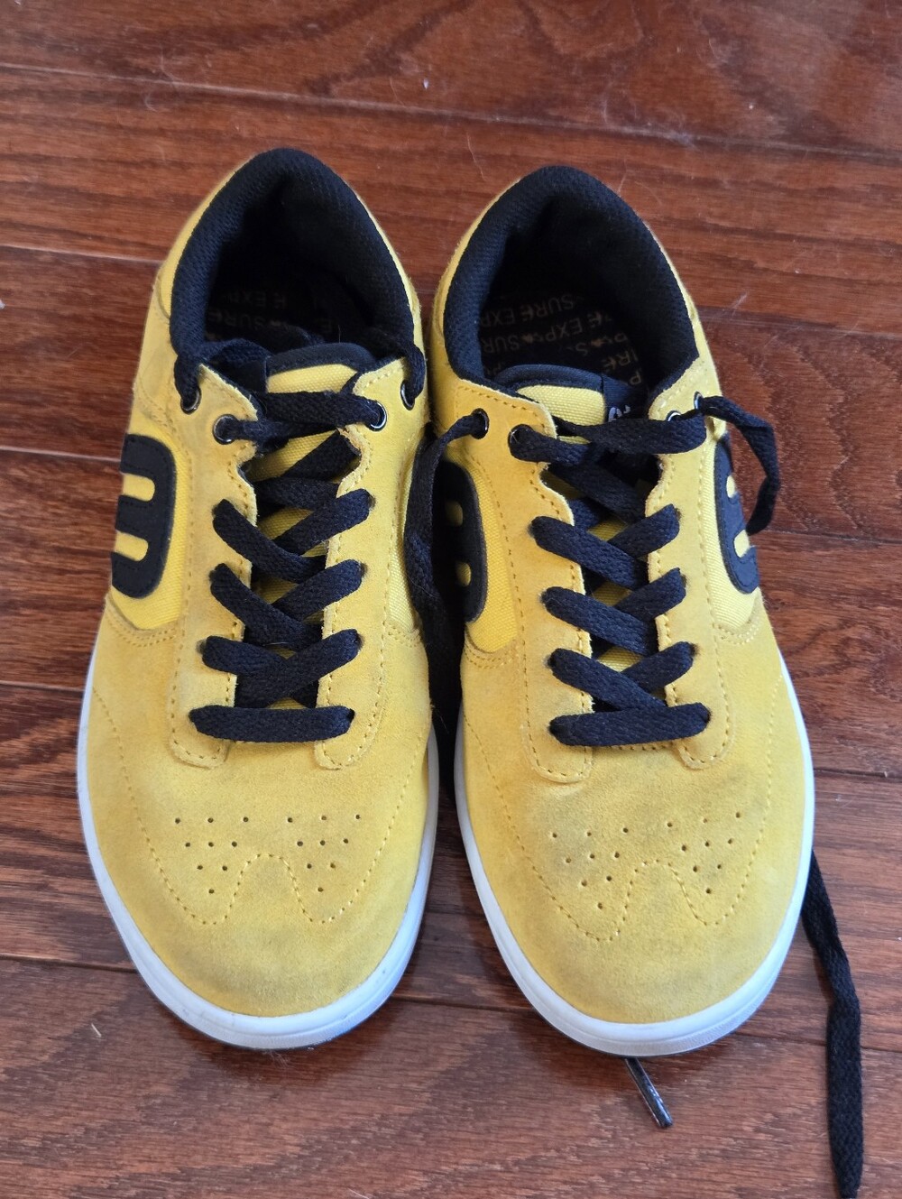Etnies Windrow X Exposure skate shoes